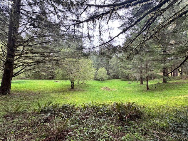 23939 RAZE Rd, Elmira, OR 97437