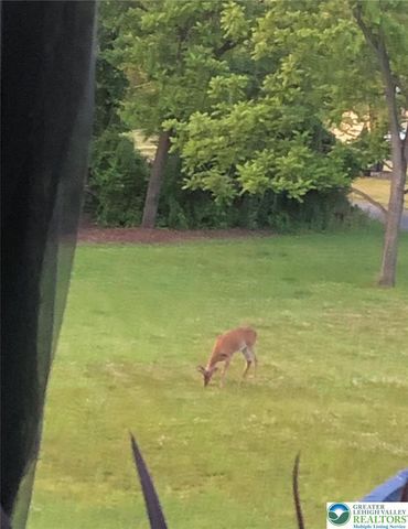 362 Mount Pleasant Road, Bangor Boro, PA 18013