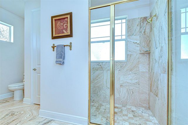 11321 WICKERSLEY PLACE, Tampa, FL 33625