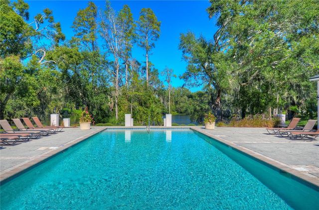 11321 WICKERSLEY PLACE, Tampa, FL 33625