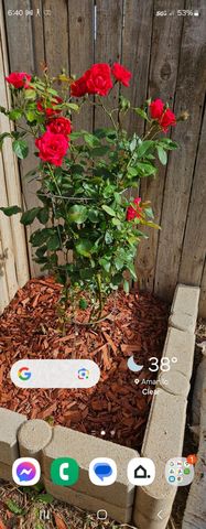 4406 S ROBERTS Street, Amarillo, TX 79118