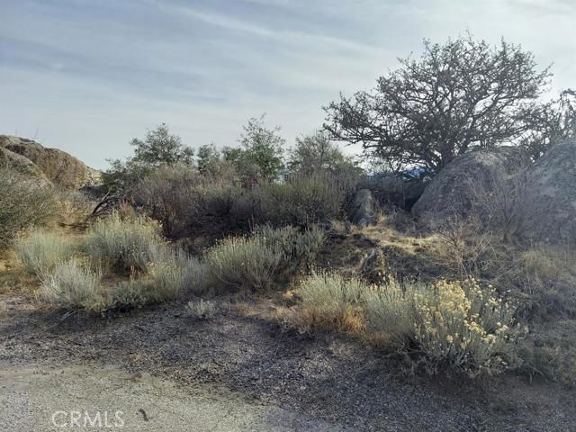 0 Amberwood Court, Tehachapi, CA 93561