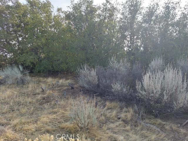 0 Amberwood Court, Tehachapi, CA 93561