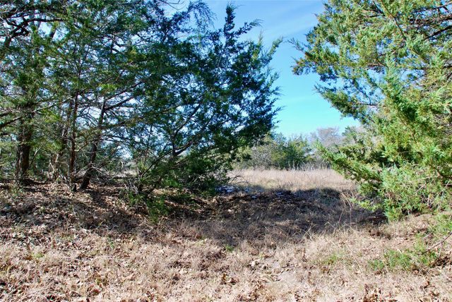 1485 Davis RD, Muldoon, TX 78949