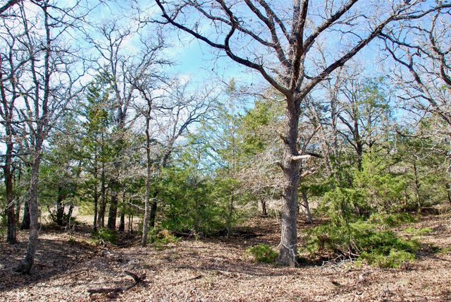 1485 Davis RD, Muldoon, TX 78949