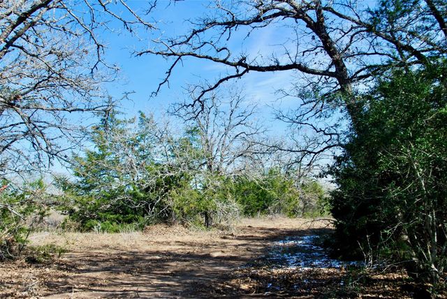 1485 Davis RD, Muldoon, TX 78949