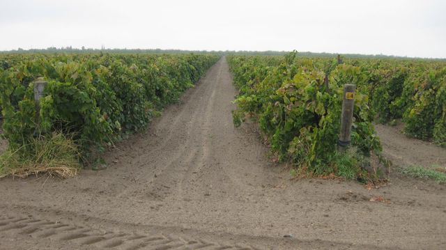 2738 E Rose Avenue, Fresno, CA 93725