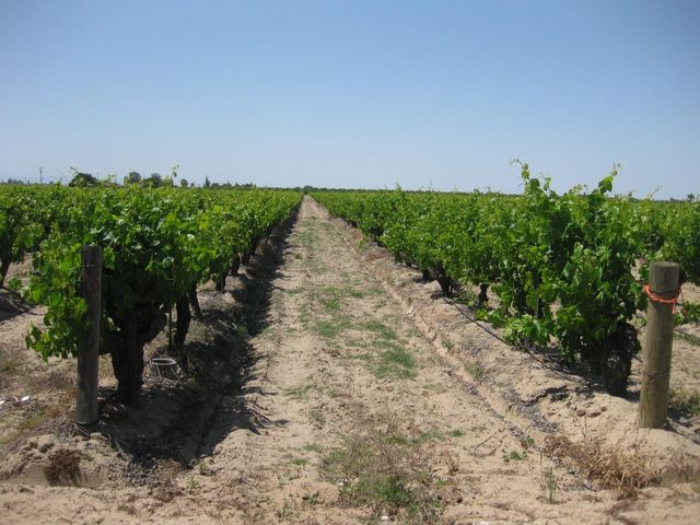 2738 E Rose Avenue, Fresno, CA 93725