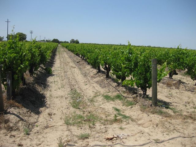 2738 E Rose Avenue, Fresno, CA 93725