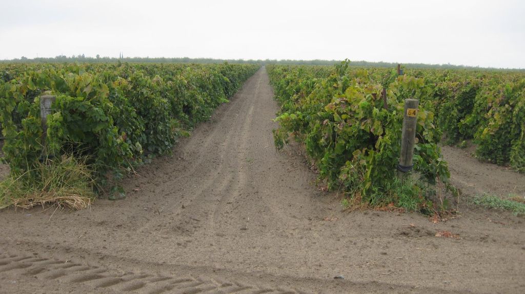 Image 13 of property listing at 2738 E Rose Avenue, Fresno, CA 93725