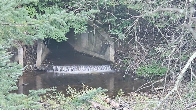 9157 Co Rd 513 Road, Rapid River, MI 49878