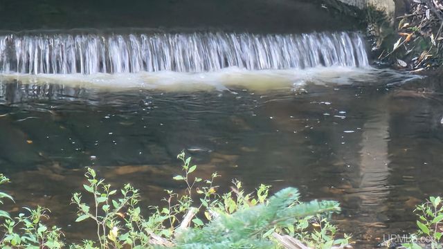 9157 Co Rd 513 Road, Rapid River, MI 49878