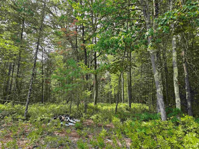 9157 Co Rd 513 Road, Rapid River, MI 49878