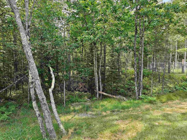 9157 Co Rd 513 Road, Rapid River, MI 49878