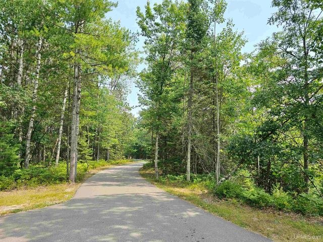 9157 Co Rd 513 Road, Rapid River, MI 49878