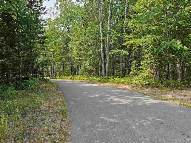 9157 Co Rd 513 Road, Rapid River, MI 49878