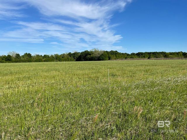 14030 Joe Norris Lane, Foley, AL 36535
