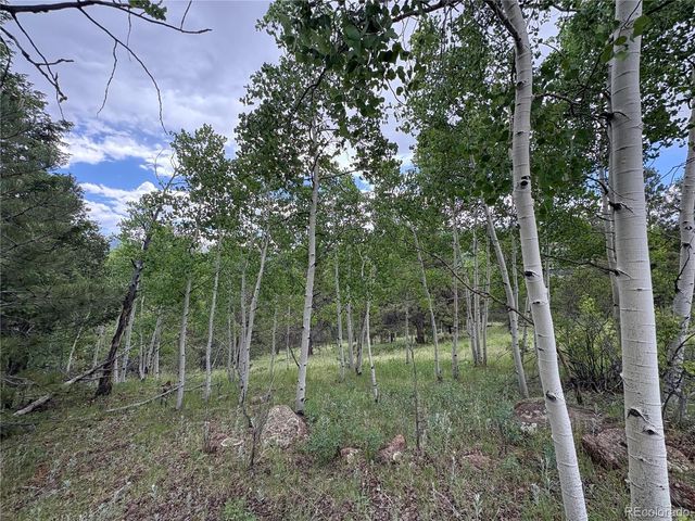 532 May Queen Drive, Cripple Creek, CO 80813