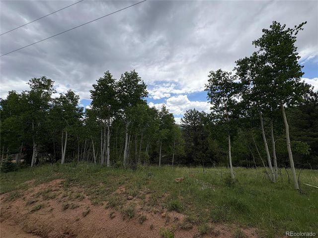 532 May Queen Drive, Cripple Creek, CO 80813