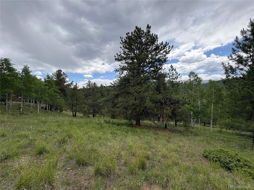 532 May Queen Drive, Cripple Creek, CO 80813