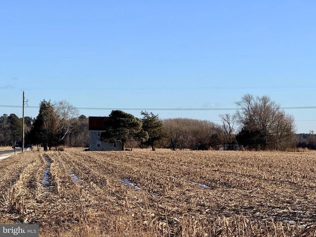 26414 GUM TREE RD, Dagsboro, DE 19939