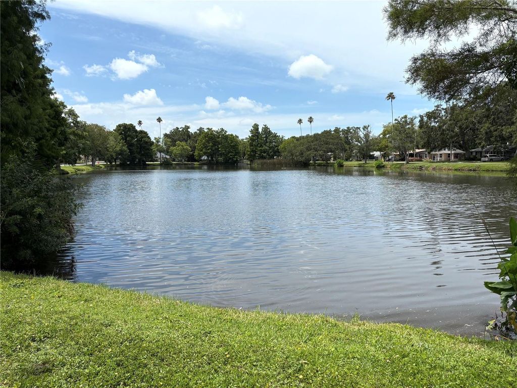 Image 33 of property listing at 1747 SANTA ANNA DRIVE, Dunedin, FL 34698