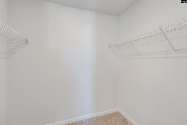 175 Carr Lane, Columbia, SC 29223