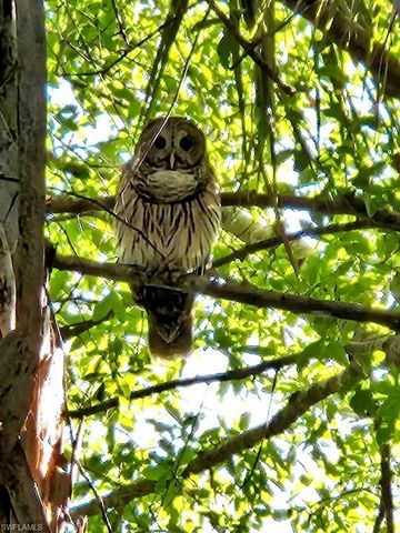 10110 Colonial Country Club BLVD # 105, Fort Myers, FL 33913