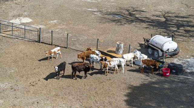 18409 RIGSBY ROAD, Spring Hill, FL 34610