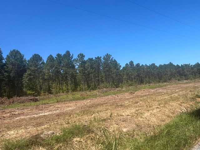 TBD Highway 19, Nichols, SC 29581