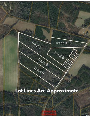 TBD Highway 19, Nichols, SC 29581