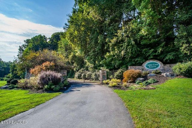 326 Shooting Star Loop 101, Townsend, TN 37882