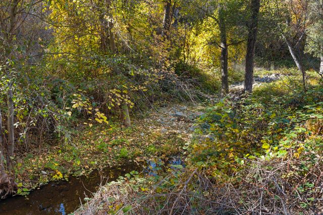 701 Old Bald Mountain Rd., Sonora, CA 95370