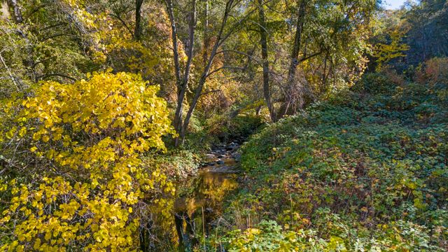 701 Old Bald Mountain Rd., Sonora, CA 95370