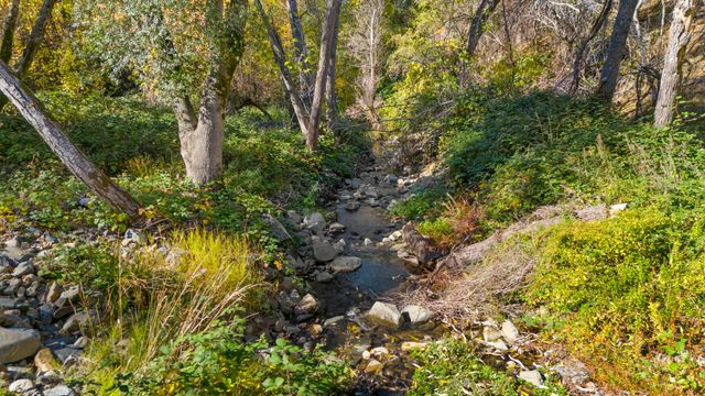 701 Old Bald Mountain Rd., Sonora, CA 95370