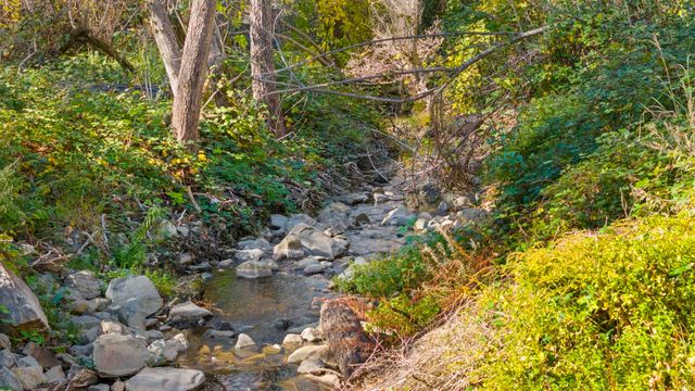 701 Old Bald Mountain Rd., Sonora, CA 95370