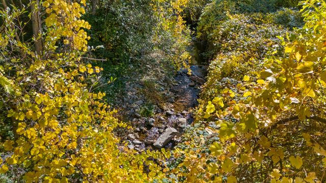 701 Old Bald Mountain Rd., Sonora, CA 95370