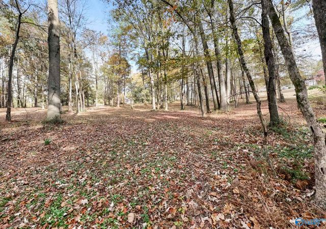 2.99 Ac Riverview Circle, Scottsboro, AL 35769
