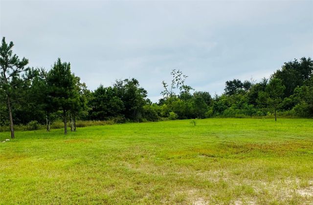 317 Road 5138, Cleveland, TX 77327