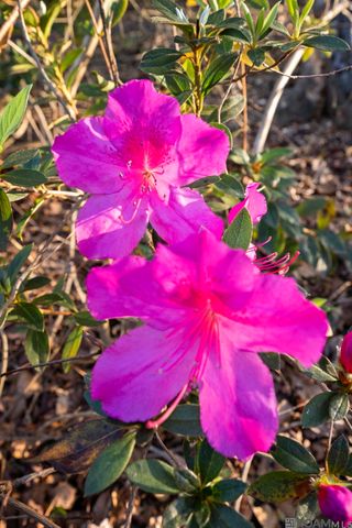 9821 Bank St Extension, Clinton, LA 70722