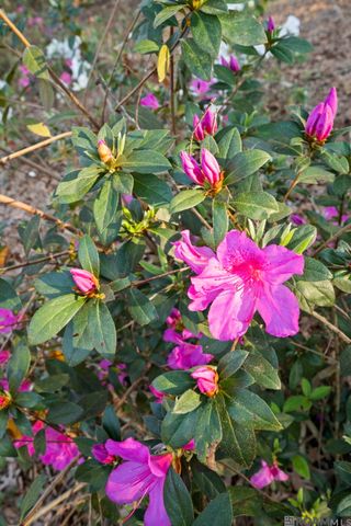 9821 Bank St Extension, Clinton, LA 70722