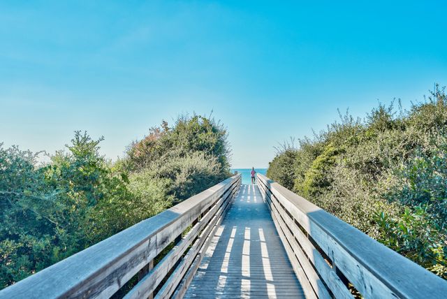 231 Somerset Bridge Road UNIT 2307, Santa Rosa Beach, FL 32459