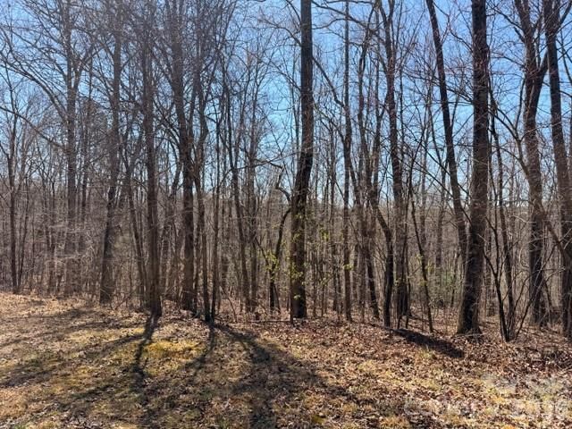 659 Bent Creek Drive 35, Nebo, NC 28761