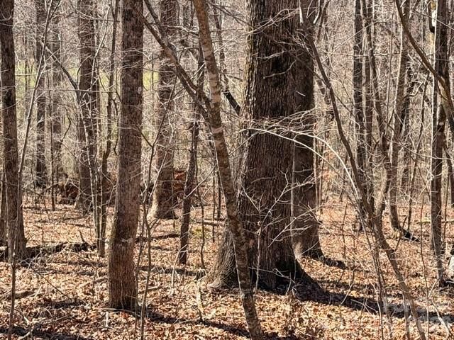 659 Bent Creek Drive 35, Nebo, NC 28761