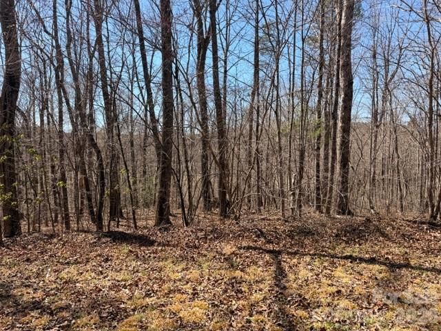 659 Bent Creek Drive 35, Nebo, NC 28761