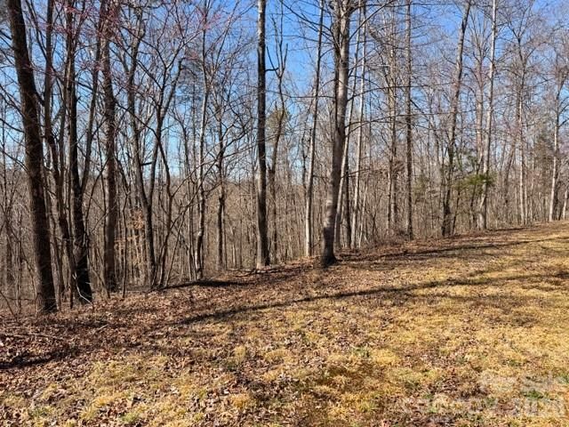 659 Bent Creek Drive 35, Nebo, NC 28761