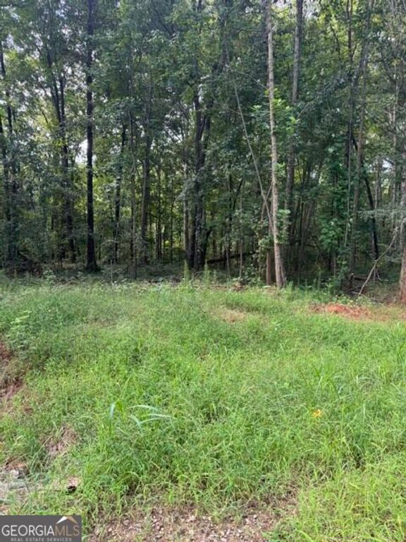LOT #6 Rita Ridge, Jefferson, GA 30549 — photo 3