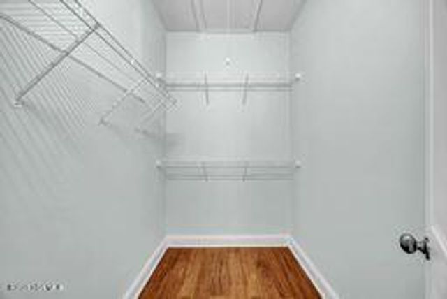 445 Lightning Whelk Way 445, Wilmington, NC 28412