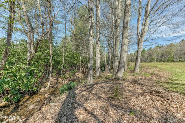1650 Sluder Road, Shady Valley, TN 37688