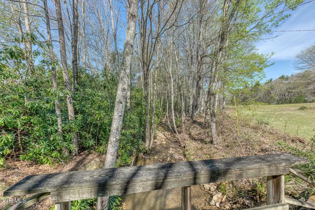 1650 Sluder Road, Shady Valley, TN 37688